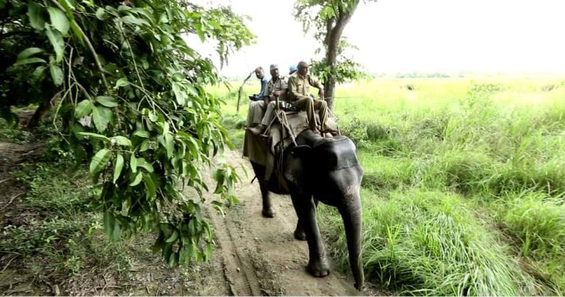 Dudhwa National Park